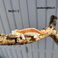 Bild 6/7