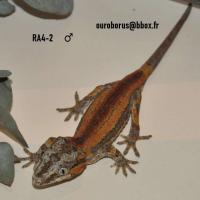 Bild 5/7