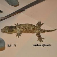 Bild 7/7
