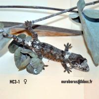 Bild 4/5
