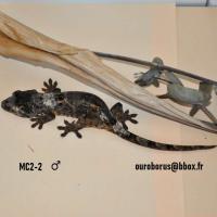 Bild 3/5