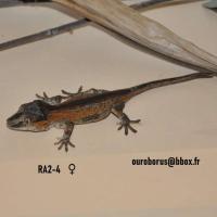 Bild 5/5