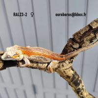 Bild 4/5