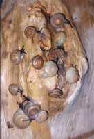 Bild 5/5