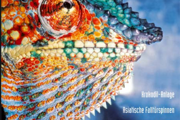 Literatur kaufen und verkaufen Foto: LOOKING FOR REPTILIA MAGAZIN 95