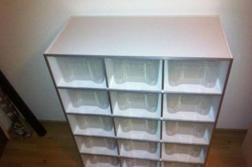 Terrarien kaufen und verkaufen Foto: Pvc RACKS und Terrarien Gebraucht aber in gutem Zustand 