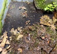Bild 6/6