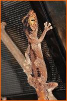 Bild 9/9