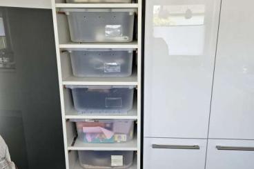 Enclosures kaufen und verkaufen Photo: Rack 10er mit Boxen und Technik Enclosures kaufen und verkaufen Photo: Rack 10er mit Boxen und Technik