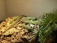 Bild 8/8