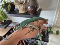 Bild 8/9
