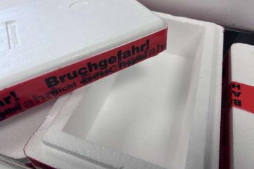 Supplies kaufen und verkaufen Photo: Styropor Boxen in verschiedenen Grüßen 