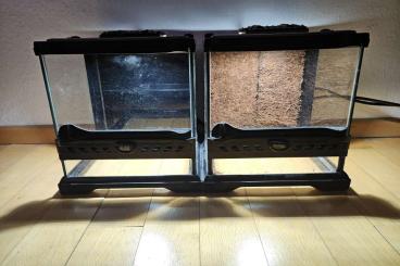 Enclosures kaufen und verkaufen Photo: Verkaufe 2 x Exo Terra Terrarium 20 x 20 x 20 cm inkl. LEDs Enclosures kaufen und verkaufen Photo: Verkaufe 2 x Exo Terra Terrarium 20 x 20 x 20 cm inkl. LEDs