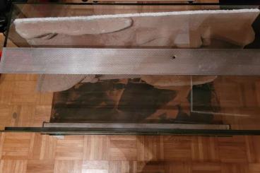 Snakes kaufen und verkaufen Photo: Glas Terrarium mit Rückwand 