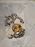 Bild 8/8