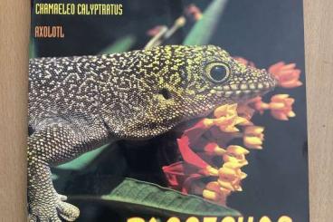 Literatur kaufen und verkaufen Foto: Reptilia Fachmagazine Nr 2 