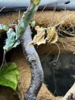 Bild 6/6