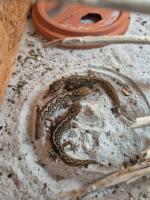 Bild 3/8