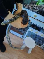 Bild 6/8