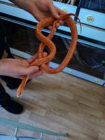 Bild 4/8