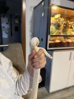 Bild 3/4