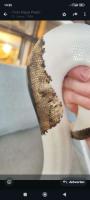 Bild 6/7