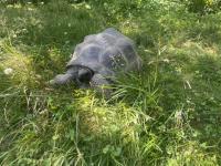 Bild 2/2