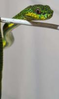 Bild 11/13