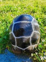 Bild 5/6