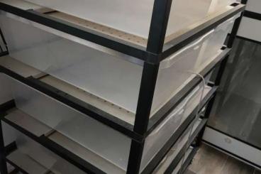 Supplies kaufen und verkaufen Photo: Alu Rack mit 10 Boxen in schwarz 