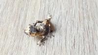 Bild 5/6