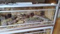 Bild 6/6