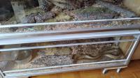 Bild 4/6