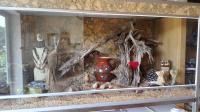 Bild 5/6