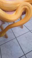 Bild 2/2