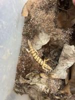 Bild 9/28