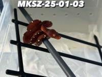 Bild 5/7