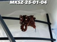 Bild 4/7
