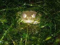 Bild 7/8