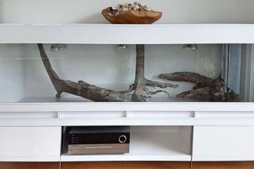 Enclosures kaufen und verkaufen Photo: Terrarienbau nach Maß Kunststoff / Glas Chamäleonterrarien mit Gaze