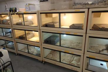 Terrarien kaufen und verkaufen Foto: Aluminium Terrarien und herptek abzugeben 