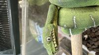 Bild 6/7
