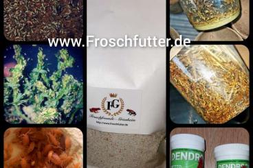 frogs kaufen und verkaufen Photo: Drosophila, Springschwänze 