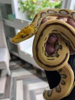 Bild 9/9