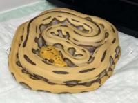 Bild 9/9