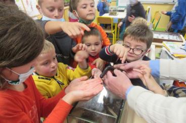 other Arthropoda kaufen und verkaufen Photo: Recherche des Arthropodes