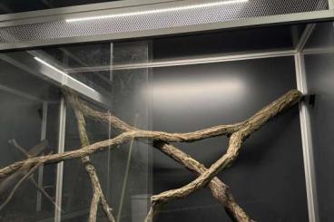 Terrarien kaufen und verkaufen Foto: Aluhobby enclosure - great looking! Terrarien kaufen und verkaufen Foto: Aluhobby enclosure - great looking!