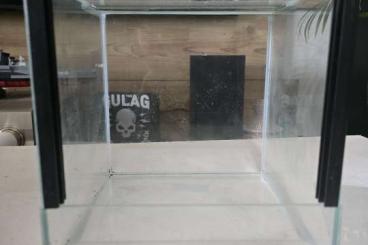 Enclosures kaufen und verkaufen Photo: Glasterrarium 20x20x20 Falltür