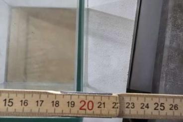 Terrarien kaufen und verkaufen Foto: Falltür terrarium glas 20x30 Terrarien kaufen und verkaufen Foto: Falltür terrarium glas 20x30