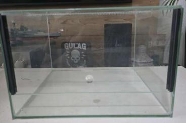 Terrarien kaufen und verkaufen Foto: Biete 2 Glasterrarien mit Falltür 30x30x20 Terrarien kaufen und verkaufen Foto: Biete 2 Glasterrarien mit Falltür 30x30x20